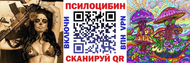 Псилоцибиновые грибы Cubensis  купить наркотик  Улан-Удэ 